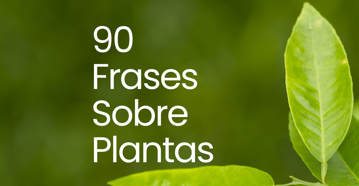 fundo verde com folhas verdes mais claras