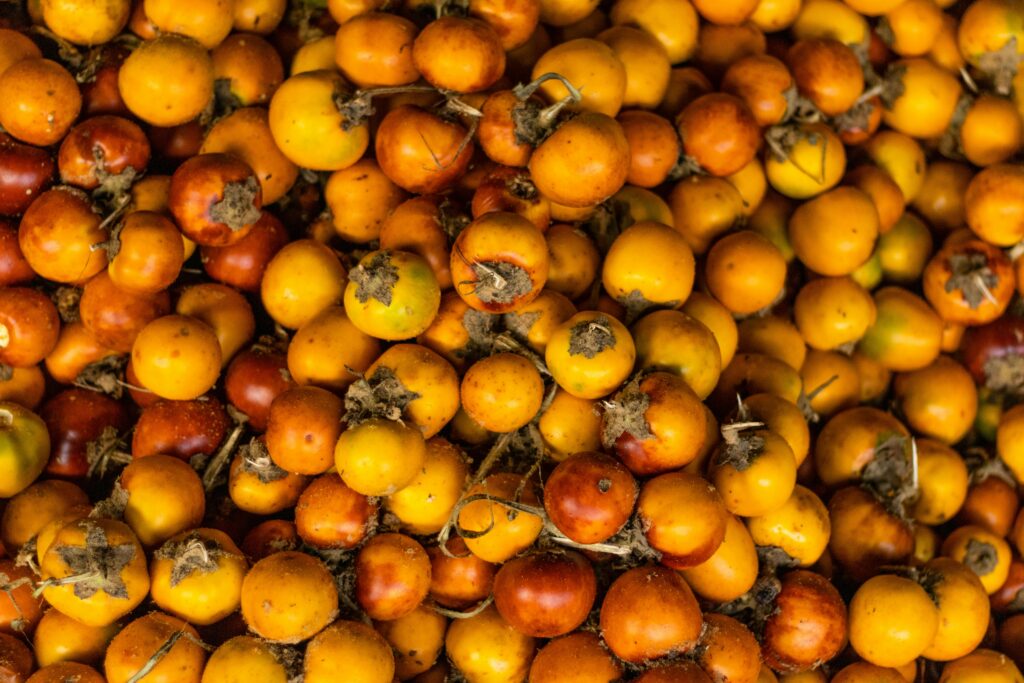 murici fruta