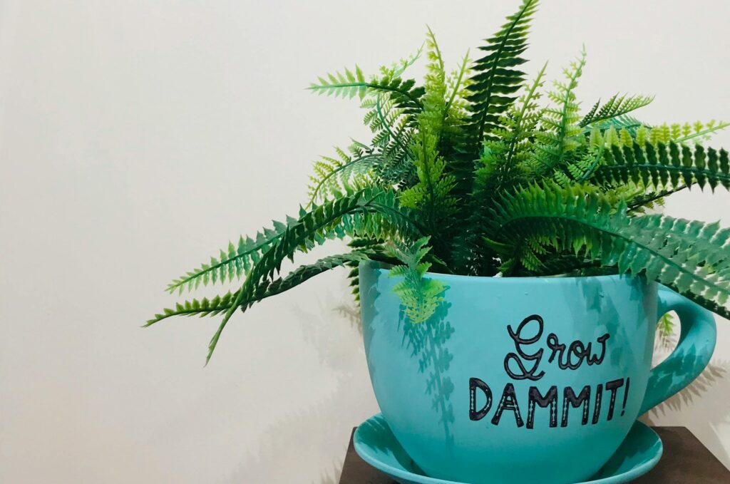 vaso tipo xicara na cor azul com samambaia dentro