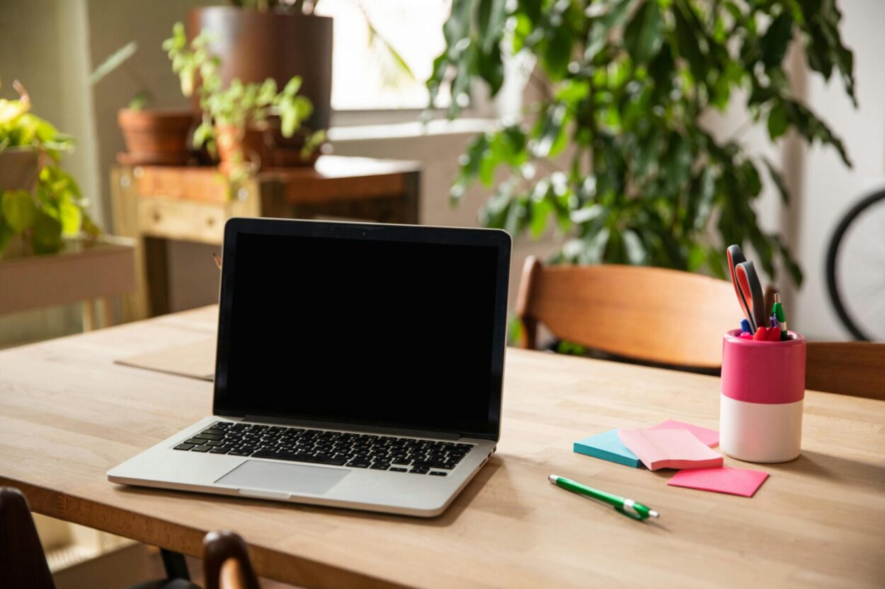 plantas em home office