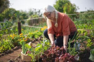 mulher idosa com cabelos brancos cuidando de jardim
