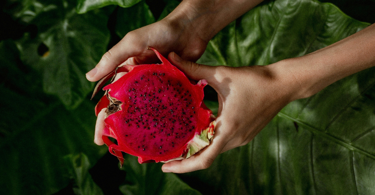 mãos segurando pitaya cortada ao meio